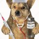 Trained Medic Dogs: Car Companions & Healers | My Caring Dog – Tips, Stories, and Care Guides for Loving Pet Owners