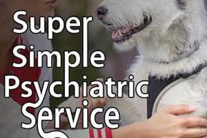 Best Psychiatric Service Dog Training in Houston, TX My Caring Dog – Tips, Stories, and Care Guides for Loving Pet Owners Best Psychiatric Service Dog Training in Houston, TX | My Caring Dog – Tips, Stories, and Care Guides for Loving Pet Owners
