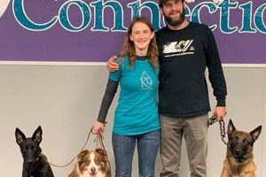 Unlock Your Dog's Potential: Canine Initiative Training Guide My Caring Dog – Tips, Stories, and Care Guides for Loving Pet Owners Unlock Your Dog's Potential: Canine Initiative Training Guide | My Caring Dog – Tips, Stories, and Care Guides for Loving Pet Owners