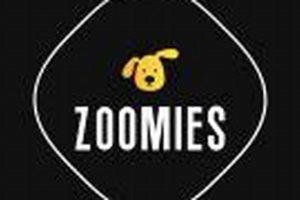 Best Zoomies Dog Day Care | Safe & Fun My Caring Dog – Tips, Stories, and Care Guides for Loving Pet Owners Best Zoomies Dog Day Care | Safe & Fun | My Caring Dog – Tips, Stories, and Care Guides for Loving Pet Owners