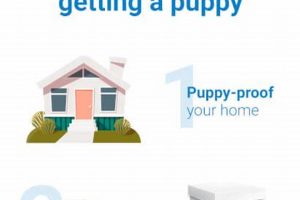 Puppy Care 101: A New Owner's Guide My Caring Dog – Tips, Stories, and Care Guides for Loving Pet Owners Puppy Care 101: A New Owner's Guide | My Caring Dog – Tips, Stories, and Care Guides for Loving Pet Owners