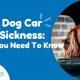 Signs Your Dog Has Car Sickness: A Guide | My Caring Dog – Tips, Stories, and Care Guides for Loving Pet Owners