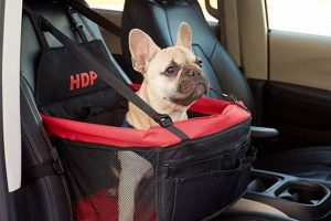 Best Chewy Dog Car Seats: Safe & Secure Travel My Caring Dog – Tips, Stories, and Care Guides for Loving Pet Owners Best Chewy Dog Car Seats: Safe & Secure Travel | My Caring Dog – Tips, Stories, and Care Guides for Loving Pet Owners