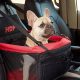 Best Chewy Dog Car Seats: Safe & Secure Travel | My Caring Dog – Tips, Stories, and Care Guides for Loving Pet Owners