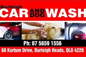 Burleigh Car And Dog Wash My Caring Dog – Tips, Stories, and Care Guides for Loving Pet Owners Burleigh Car And Dog Wash | My Caring Dog – Tips, Stories, and Care Guides for Loving Pet Owners