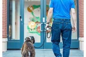 Pampered Paws: Colby's Dog Care & Spa My Caring Dog – Tips, Stories, and Care Guides for Loving Pet Owners Pampered Paws: Colby's Dog Care & Spa | My Caring Dog – Tips, Stories, and Care Guides for Loving Pet Owners