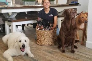 Best Dog Day Care in Naples, FL: Top Choices My Caring Dog – Tips, Stories, and Care Guides for Loving Pet Owners Best Dog Day Care in Naples, FL: Top Choices | My Caring Dog – Tips, Stories, and Care Guides for Loving Pet Owners