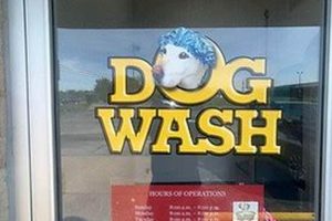 Best Jeffco Auto Pride Car & Dog Wash Services My Caring Dog – Tips, Stories, and Care Guides for Loving Pet Owners Best Jeffco Auto Pride Car & Dog Wash Services | My Caring Dog – Tips, Stories, and Care Guides for Loving Pet Owners