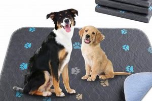 Best Dog Pads for Car Travel & SUV Rides My Caring Dog – Tips, Stories, and Care Guides for Loving Pet Owners Best Dog Pads for Car Travel & SUV Rides | My Caring Dog – Tips, Stories, and Care Guides for Loving Pet Owners