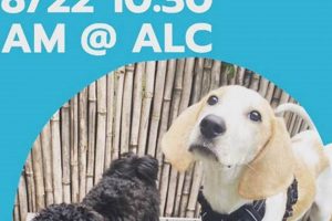 Top Dog Day Care in Brooklyn Heights, NY My Caring Dog – Tips, Stories, and Care Guides for Loving Pet Owners Top Dog Day Care in Brooklyn Heights, NY | My Caring Dog – Tips, Stories, and Care Guides for Loving Pet Owners