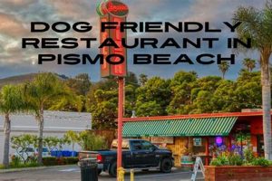 Best Dog Day Care in Pismo Beach, CA My Caring Dog – Tips, Stories, and Care Guides for Loving Pet Owners Best Dog Day Care in Pismo Beach, CA | My Caring Dog – Tips, Stories, and Care Guides for Loving Pet Owners
