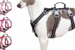 Best Car Dog Harnesses on Amazon: Top Picks My Caring Dog – Tips, Stories, and Care Guides for Loving Pet Owners Best Car Dog Harnesses on Amazon: Top Picks | My Caring Dog – Tips, Stories, and Care Guides for Loving Pet Owners