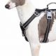 Best Car Dog Harnesses on Amazon: Top Picks | My Caring Dog – Tips, Stories, and Care Guides for Loving Pet Owners