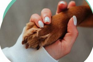The Ultimate Guide to Cooperative Care Dog Training My Caring Dog – Tips, Stories, and Care Guides for Loving Pet Owners The Ultimate Guide to Cooperative Care Dog Training | My Caring Dog – Tips, Stories, and Care Guides for Loving Pet Owners