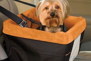 Best Dog Car Booster Seats: Safe & Comfy Rides My Caring Dog – Tips, Stories, and Care Guides for Loving Pet Owners Best Dog Car Booster Seats: Safe & Comfy Rides | My Caring Dog – Tips, Stories, and Care Guides for Loving Pet Owners