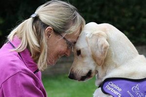 Best Partner Dogs for Car Travel Adventures My Caring Dog – Tips, Stories, and Care Guides for Loving Pet Owners Best Partner Dogs for Car Travel Adventures | My Caring Dog – Tips, Stories, and Care Guides for Loving Pet Owners