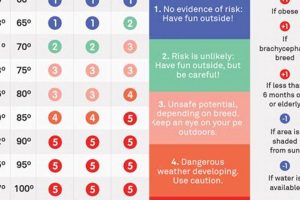 Safe Temperature For Dog In Car My Caring Dog – Tips, Stories, and Care Guides for Loving Pet Owners Safe Temperature For Dog In Car | My Caring Dog – Tips, Stories, and Care Guides for Loving Pet Owners
