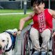 Service Dogs For People With Disabilities | My Caring Dog – Tips, Stories, and Care Guides for Loving Pet Owners