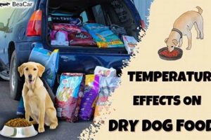 Will Dog Food Go Bad In A Hot Car My Caring Dog – Tips, Stories, and Care Guides for Loving Pet Owners Will Dog Food Go Bad In A Hot Car | My Caring Dog – Tips, Stories, and Care Guides for Loving Pet Owners