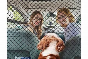Car Nets For Dogs | My Caring Dog – Tips, Stories, and Care Guides for Loving Pet Owners