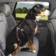 Safe Dog Car Travel: Tips & Essentials | My Caring Dog – Tips, Stories, and Care Guides for Loving Pet Owners