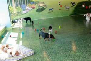 Complete In-House Dog Care Guide 2024 My Caring Dog – Tips, Stories, and Care Guides for Loving Pet Owners Complete In-House Dog Care Guide 2024 | My Caring Dog – Tips, Stories, and Care Guides for Loving Pet Owners