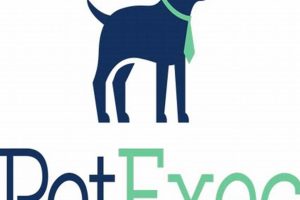 Understanding Pet Dog Excitement & Behavior My Caring Dog – Tips, Stories, and Care Guides for Loving Pet Owners Understanding Pet Dog Excitement & Behavior | My Caring Dog – Tips, Stories, and Care Guides for Loving Pet Owners