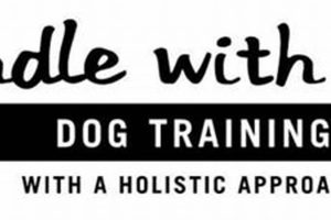Handle With Care Dog Training My Caring Dog – Tips, Stories, and Care Guides for Loving Pet Owners Handle With Care Dog Training | My Caring Dog – Tips, Stories, and Care Guides for Loving Pet Owners