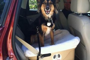 Best Petsmart Car Seats For Small Dogs: Guide My Caring Dog – Tips, Stories, and Care Guides for Loving Pet Owners Best Petsmart Car Seats For Small Dogs: Guide | My Caring Dog – Tips, Stories, and Care Guides for Loving Pet Owners