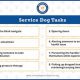 Essential Service Dog Tasks & Training | My Caring Dog – Tips, Stories, and Care Guides for Loving Pet Owners