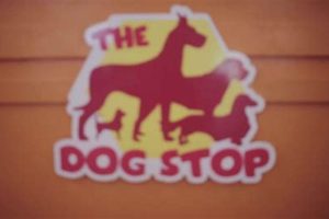 Top Dog Day Care in Monroeville PA | Best Care My Caring Dog – Tips, Stories, and Care Guides for Loving Pet Owners Top Dog Day Care in Monroeville PA | Best Care | My Caring Dog – Tips, Stories, and Care Guides for Loving Pet Owners
