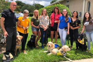 Best Canine Companions Orlando: Dog Car Safety My Caring Dog – Tips, Stories, and Care Guides for Loving Pet Owners Best Canine Companions Orlando: Dog Car Safety | My Caring Dog – Tips, Stories, and Care Guides for Loving Pet Owners