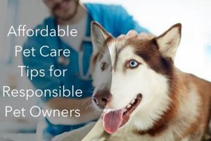 Best Affordable Dog Care Tips & Tricks My Caring Dog – Tips, Stories, and Care Guides for Loving Pet Owners Best Affordable Dog Care Tips & Tricks | My Caring Dog – Tips, Stories, and Care Guides for Loving Pet Owners