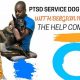 Best PTSD Dog Training Near Me: Find Expert Trainers | My Caring Dog – Tips, Stories, and Care Guides for Loving Pet Owners