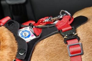 Top Allsafe Dog Car Harnesses for Safe Travel My Caring Dog – Tips, Stories, and Care Guides for Loving Pet Owners Top Allsafe Dog Car Harnesses for Safe Travel | My Caring Dog – Tips, Stories, and Care Guides for Loving Pet Owners