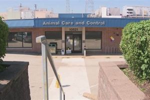 Adopt a Dog in St. Louis County: Find Your Furry Friend My Caring Dog – Tips, Stories, and Care Guides for Loving Pet Owners Adopt a Dog in St. Louis County: Find Your Furry Friend | My Caring Dog – Tips, Stories, and Care Guides for Loving Pet Owners