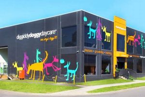 Best Dog Day Care Australia: Find Top Centers My Caring Dog – Tips, Stories, and Care Guides for Loving Pet Owners Best Dog Day Care Australia: Find Top Centers | My Caring Dog – Tips, Stories, and Care Guides for Loving Pet Owners