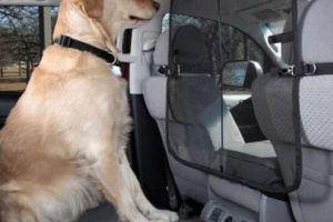 Top Dog Barriers for Car Front Seats & Back My Caring Dog – Tips, Stories, and Care Guides for Loving Pet Owners Top Dog Barriers for Car Front Seats & Back | My Caring Dog – Tips, Stories, and Care Guides for Loving Pet Owners