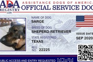 Is Free Service Dog Registration in Texas Legitimate? My Caring Dog – Tips, Stories, and Care Guides for Loving Pet Owners Is Free Service Dog Registration in Texas Legitimate? | My Caring Dog – Tips, Stories, and Care Guides for Loving Pet Owners
