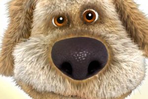 Top Dogben Accessories for Your Car Dog My Caring Dog – Tips, Stories, and Care Guides for Loving Pet Owners Top Dogben Accessories for Your Car Dog | My Caring Dog – Tips, Stories, and Care Guides for Loving Pet Owners