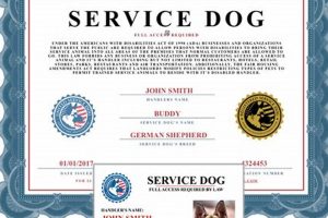 Benefits of a Registered Service Dog My Caring Dog – Tips, Stories, and Care Guides for Loving Pet Owners Benefits of a Registered Service Dog | My Caring Dog – Tips, Stories, and Care Guides for Loving Pet Owners