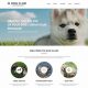 Best Car Dog Website: Gear &amp; Travel Tips | My Caring Dog – Tips, Stories, and Care Guides for Loving Pet Owners