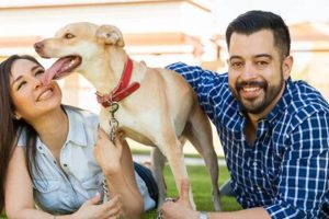 Pawsome Pet Prenting: Find Your Perfect Dog Match My Caring Dog – Tips, Stories, and Care Guides for Loving Pet Owners Pawsome Pet Prenting: Find Your Perfect Dog Match | My Caring Dog – Tips, Stories, and Care Guides for Loving Pet Owners