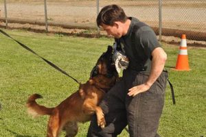 Advanced K9 Canine Training Techniques My Caring Dog – Tips, Stories, and Care Guides for Loving Pet Owners Advanced K9 Canine Training Techniques | My Caring Dog – Tips, Stories, and Care Guides for Loving Pet Owners