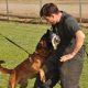 Advanced K9 Canine Training Techniques | My Caring Dog – Tips, Stories, and Care Guides for Loving Pet Owners