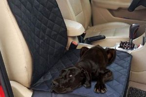 Best Black Dog Car Seat Covers: Ultimate Protection My Caring Dog – Tips, Stories, and Care Guides for Loving Pet Owners Best Black Dog Car Seat Covers: Ultimate Protection | My Caring Dog – Tips, Stories, and Care Guides for Loving Pet Owners
