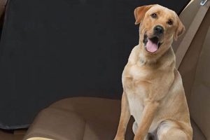 Best Car Door Protectors for Dogs: Ultimate Guide My Caring Dog – Tips, Stories, and Care Guides for Loving Pet Owners Best Car Door Protectors for Dogs: Ultimate Guide | My Caring Dog – Tips, Stories, and Care Guides for Loving Pet Owners