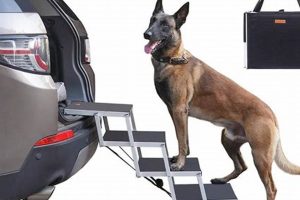 Best Folding Dog Car Steps for Easy Entry | My Caring Dog – Tips, Stories, and Care Guides for Loving Pet Owners