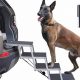 Best Folding Dog Car Steps for Easy Entry | My Caring Dog – Tips, Stories, and Care Guides for Loving Pet Owners