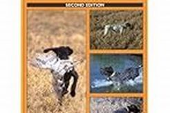 Pro Hunting Dog Training & Care Guide My Caring Dog – Tips, Stories, and Care Guides for Loving Pet Owners Pro Hunting Dog Training & Care Guide | My Caring Dog – Tips, Stories, and Care Guides for Loving Pet Owners